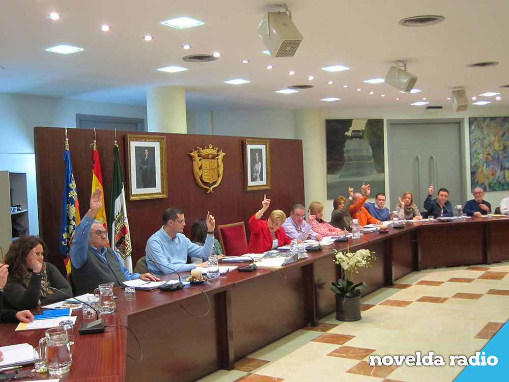 Votacion en el pleno municipal