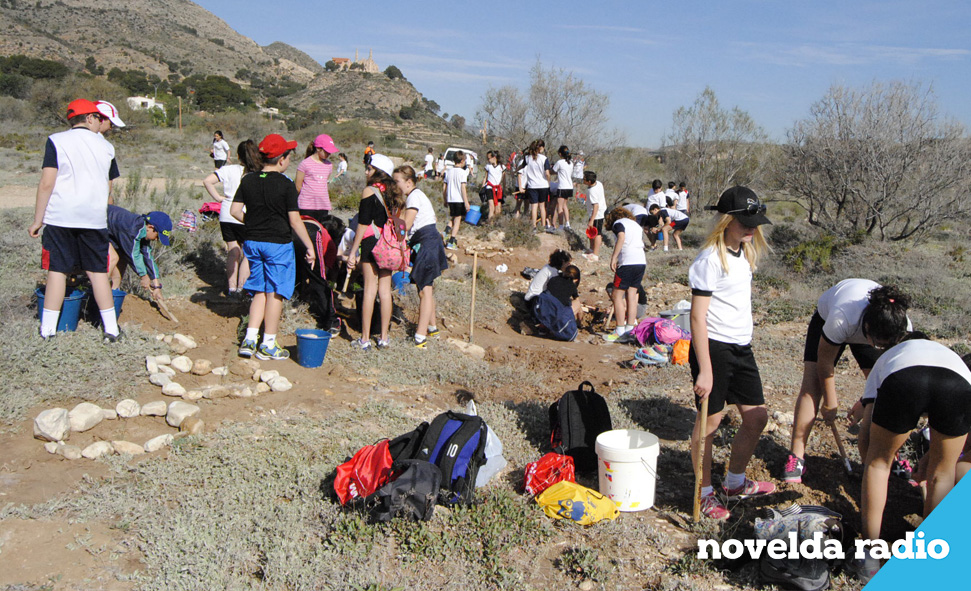 Reforestacion OK