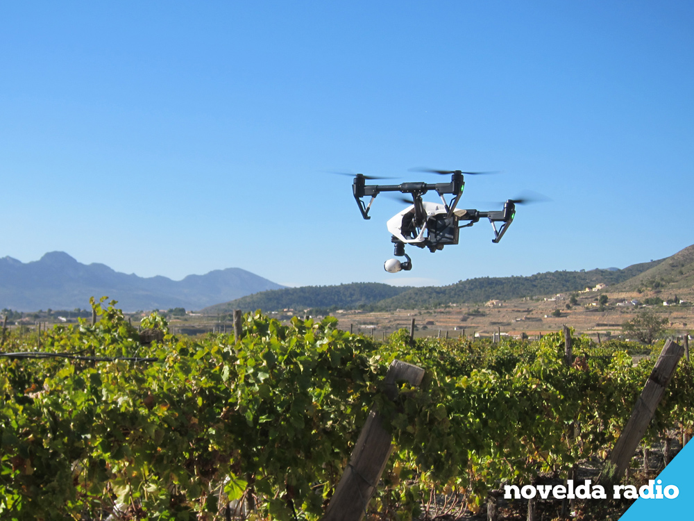 dron