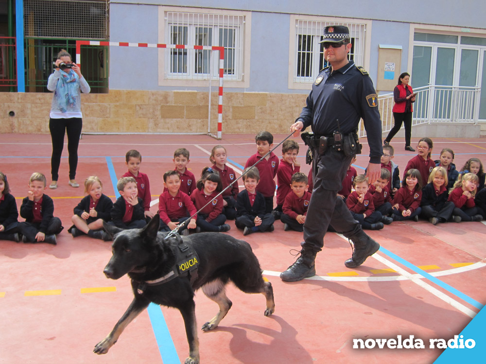 canina