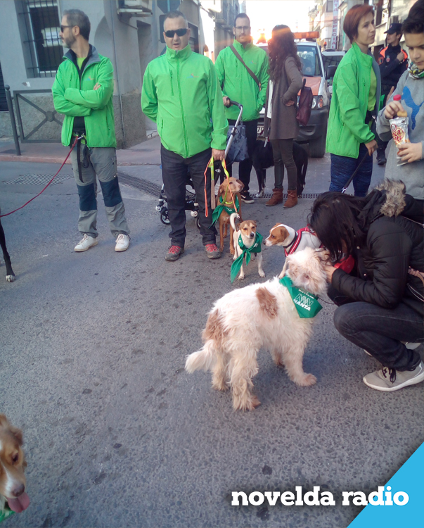 romeria 8