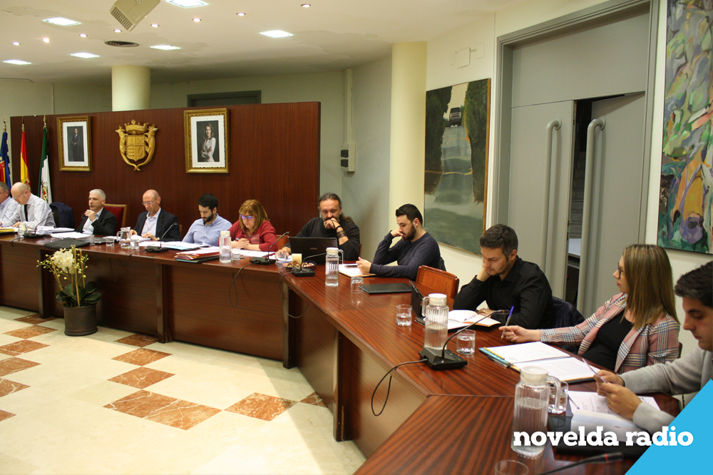 Pleno Ordinario 056 web