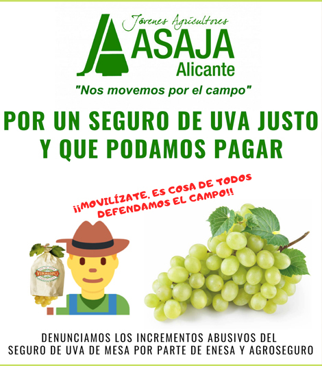 cartel uva ok