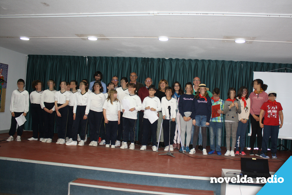 pleno 114 web