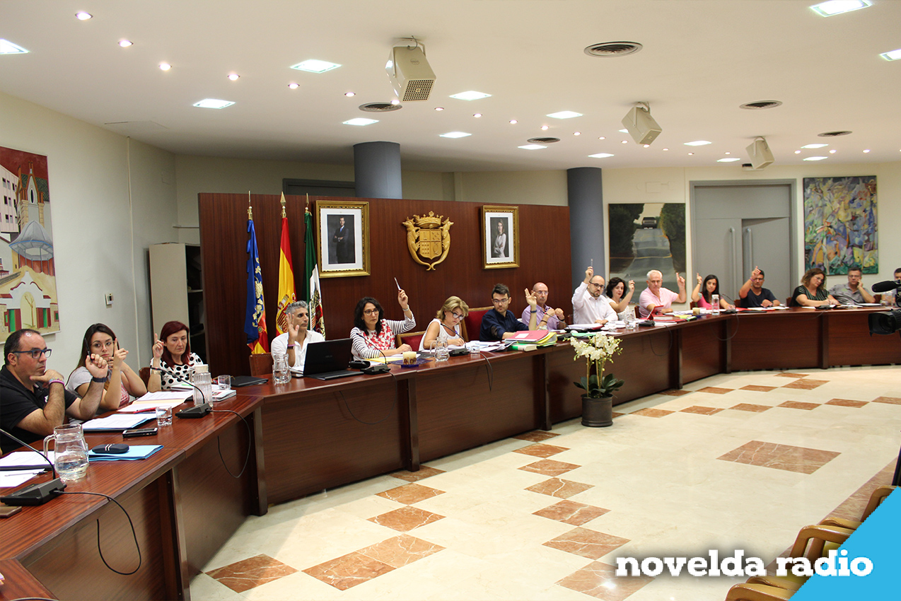 pleno web