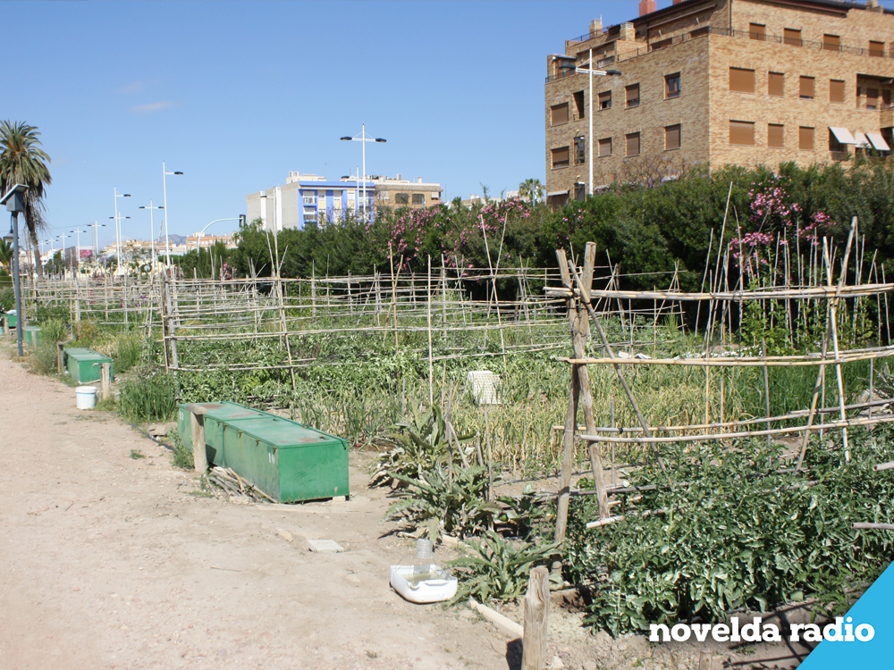web-huerto