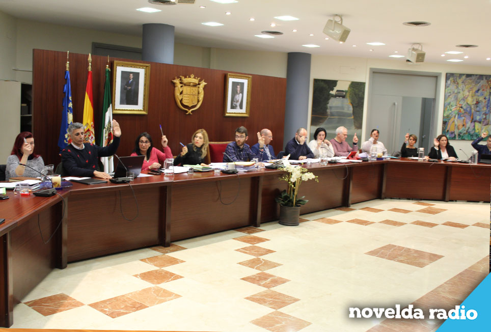 Pleno web